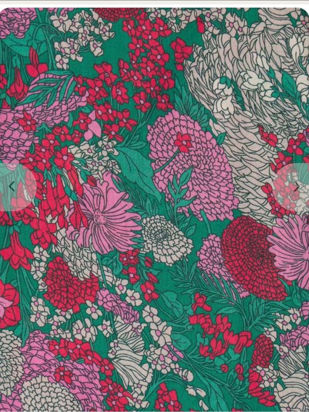 Birds of Paradise - Phoebe Dress - Picture 5 of 5